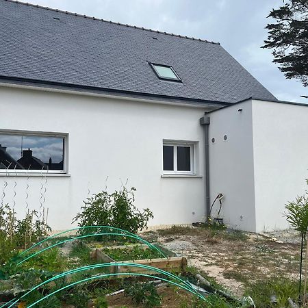 Maison Tamaris Avec Jardin Et Clos Quiberon Exterior foto